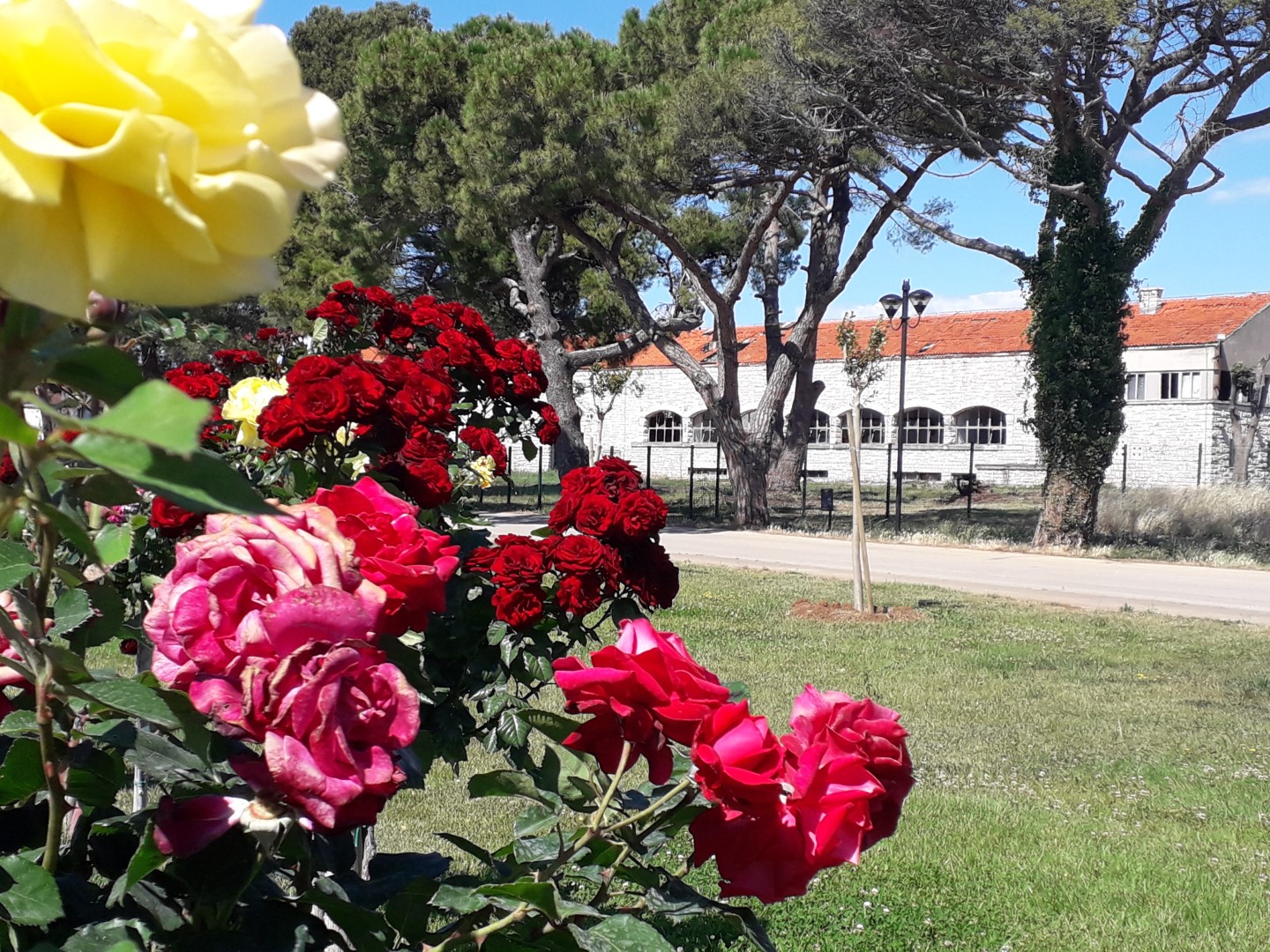 PIK-ov podrum kao barcelonska Las Rambla
